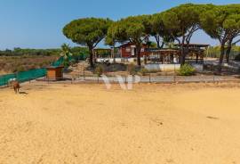 1ha farm with stables and riding arena, Quarteira