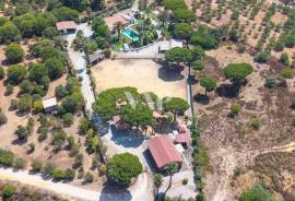 1ha farm with stables and riding arena, Quarteira