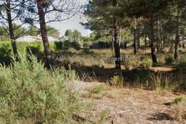 Land of 770 m² in Sector E – Vale da Telha Urbanization