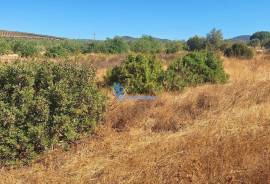 Rustic land with 4,440 m² in Lagoas, Paderne