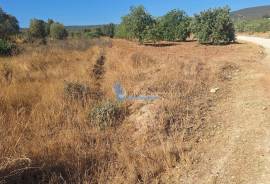Rustic land with 4,440 m² in Lagoas, Paderne