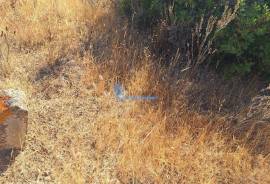 Rustic land with 4,440 m² in Lagoas, Paderne