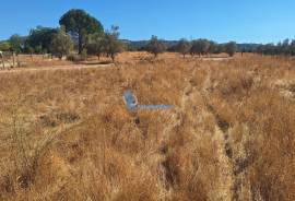Rustic land with 4,440 m² in Lagoas, Paderne