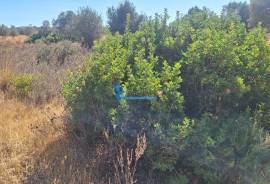 Rustic land with 4,440 m² in Lagoas, Paderne