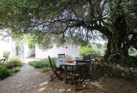 Idyllic Finca Country Property