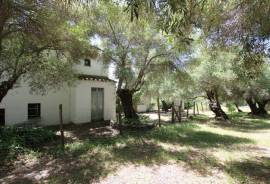 Idyllic Finca Country Property