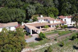 Vineyard Ava Country Property