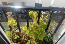 Sweet Flower Balcony Townhouse
