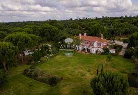 Farm in Santo Estevão – Alentejo Charm with Swimming Pool and Large Land Farm in Santo Estevão – Alentejo Charm with Swimming Pool and Large Land