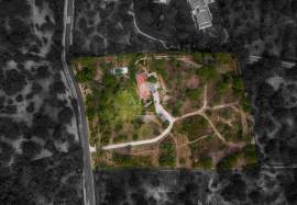 Farm in Santo Estevão – Alentejo Charm with Swimming Pool and Large Land Farm in Santo Estevão – Alentejo Charm with Swimming Pool and Large Land