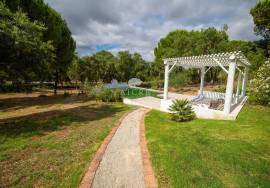 Farm in Santo Estevão – Alentejo Charm with Swimming Pool and Large Land Farm in Santo Estevão – Alentejo Charm with Swimming Pool and Large Land
