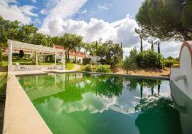 Farm in Santo Estevão – Alentejo Charm with Swimming Pool and Large Land Farm in Santo Estevão – Alentejo Charm with Swimming Pool and Large Land