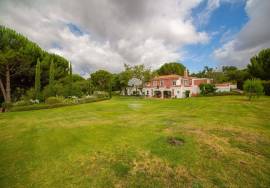 Farm in Santo Estevão – Alentejo Charm with Swimming Pool and Large Land Farm in Santo Estevão – Alentejo Charm with Swimming Pool and Large Land
