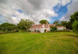 Farm in Santo Estevão – Alentejo Charm with Swimming Pool and Large Land