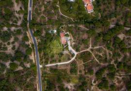 Farm in Santo Estevão – Alentejo Charm with Swimming Pool and Large Land Farm in Santo Estevão – Alentejo Charm with Swimming Pool and Large Land