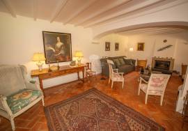 Farm in Santo Estevão – Alentejo Charm with Swimming Pool and Large Land Farm in Santo Estevão – Alentejo Charm with Swimming Pool and Large Land