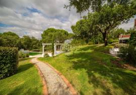 Farm in Santo Estevão – Alentejo Charm with Swimming Pool and Large Land Farm in Santo Estevão – Alentejo Charm with Swimming Pool and Large Land