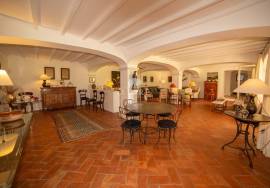Farm in Santo Estevão – Alentejo Charm with Swimming Pool and Large Land Farm in Santo Estevão – Alentejo Charm with Swimming Pool and Large Land
