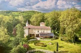 CHATEAU DE MONTCRU 12 Bedrooms For Sale In Allières Ariège