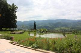 CHATEAU DE MONTCRU 12 Bedrooms For Sale In Allières Ariège