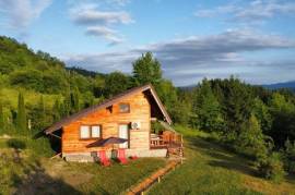 Excellent 1 Bed Log Cabin For Sale in Grozăvești