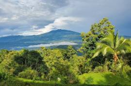 Stunning 2 Bed House With Food Forest For Sale in Turrialba Costa