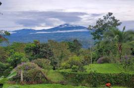 Stunning 2 Bed House With Food Forest For Sale in Turrialba Costa