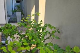 Luxury 12 Bed Condo Building For Sale In Colombo Sri