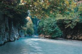 Excellent Plot of land for sale in Vitsa Zagori