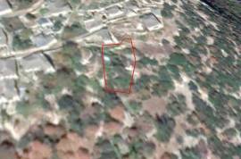 Excellent Plot of land for sale in Vitsa Zagori