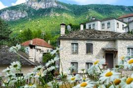 Excellent Plot of land for sale in Vitsa Zagori