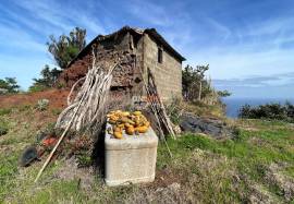 Land in São Jorge with Infinite View over the Atlantic and the North Coast Land in São Jorge with Infinite View over the Atlantic and the North Coast