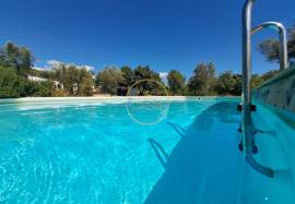 1ha Farm with Swimming Pool, Jacuzzi, Independent Studio and Potential for expansion or Tourist Accommodation – Algarve