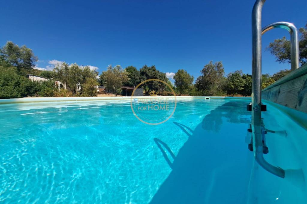 1ha Farm with Swimming Pool, Jacuzzi, Independent Studio and Potential for expansion or Tourist Accommodation – Algarve