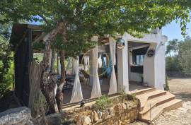 1ha Farm with Swimming Pool, Jacuzzi, Independent Studio and Potential for expansion or Tourist Accommodation – Algarve