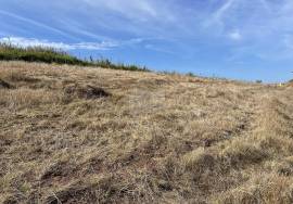 Urban land | 453m2 | That of the Brothers-in-Law