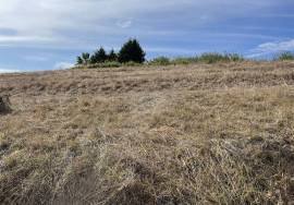 Urban land | 440m2 | That of the Brothers-in-Law