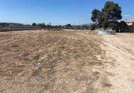 Sale of urban land in Elche.
