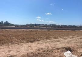 Sale of urban land in Elche.