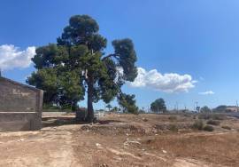 Sale of urban land in Elche.