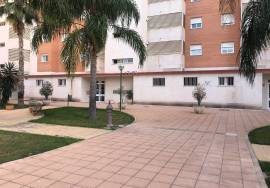 RENT apartment Playa San Juan (Historian Vicente Ramos).