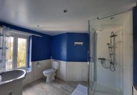 For Sale 2 Excellent Houses/Gite in St-Priest-la-Plaine - 23