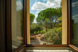 Exceptional Property Amidst Vineyards
