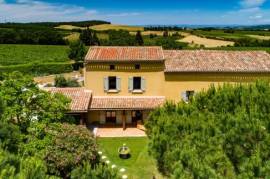 Exceptional Property Amidst Vineyards