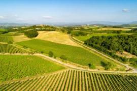 Exceptional Vine Growing Property in 36 Hectares