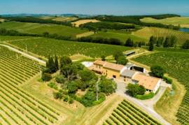 Exceptional Vine Growing Property in 36 Hectares