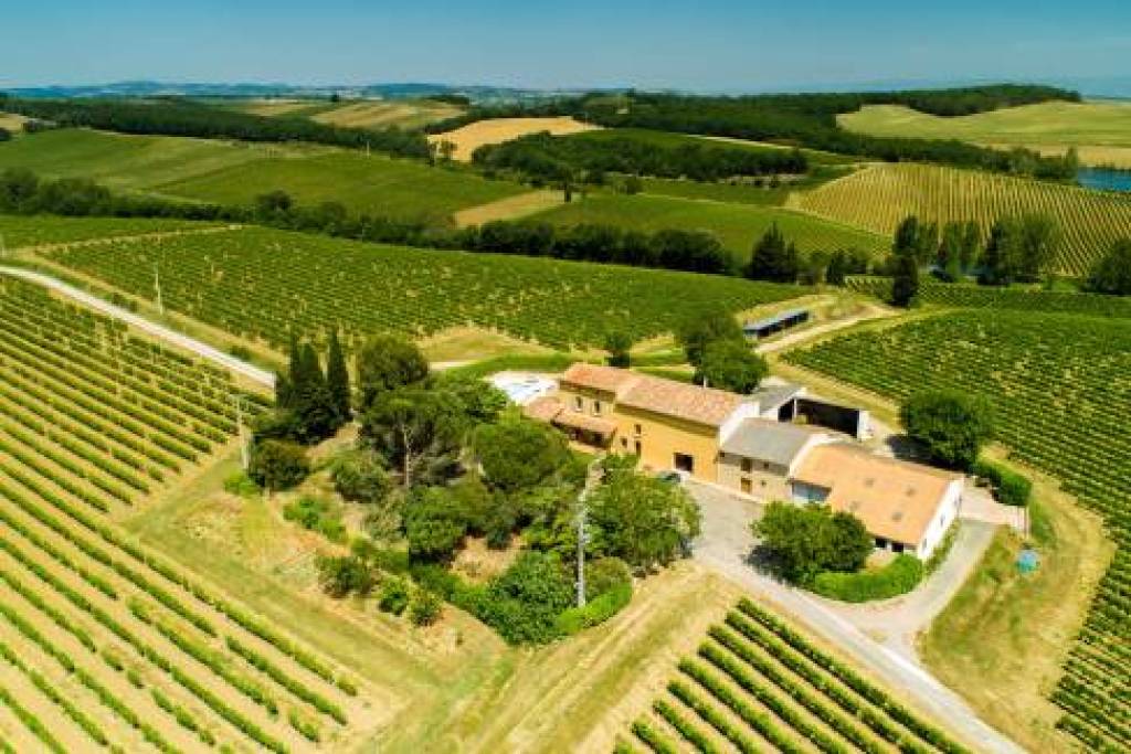 Exceptional Vine Growing Property in 36 Hectares