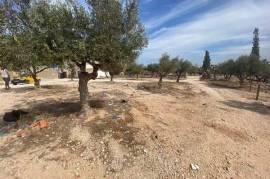 Land-Plot for sale in Sousse-Riadh Tunisia