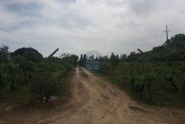 Land of 5,000 m2 with Well for Housing.