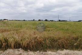 Land of 4,000 m2 for the construction of a single family home